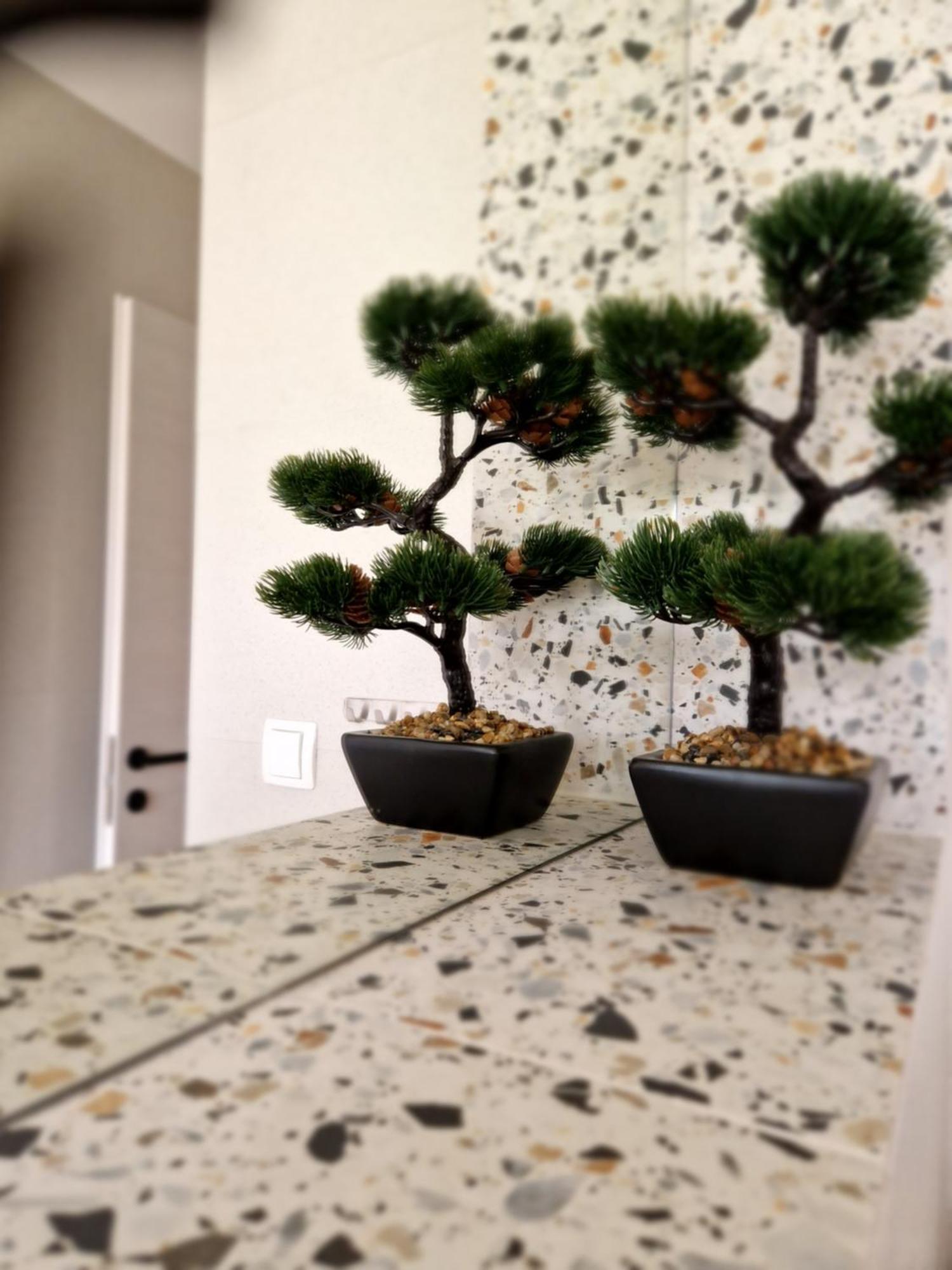 Marela Apartament *